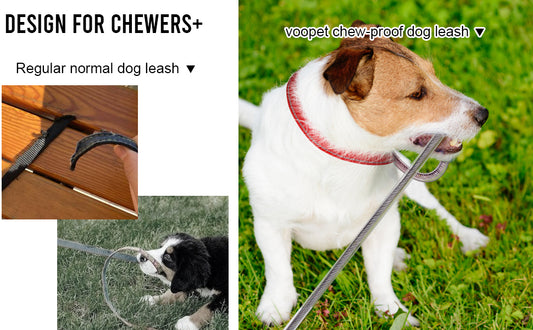 PAS Voopet Chew‑Proof Dog Leash Extension